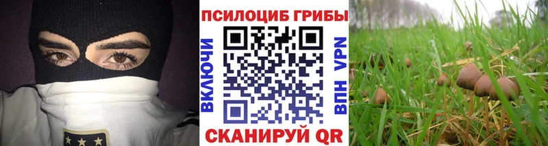 Галлюциногенные грибы мухоморы  нарко площадка Telegram  Аткарск  как найти закладки 